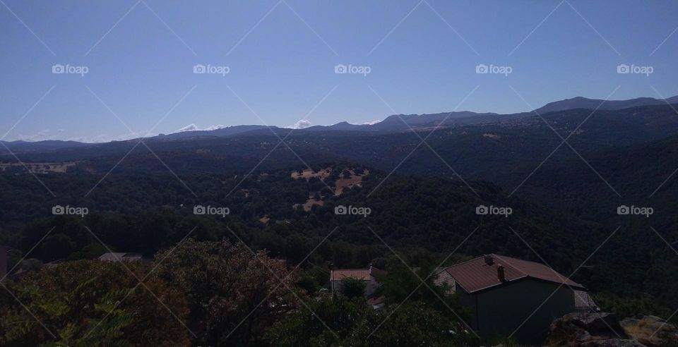 Best of 2021: Nature