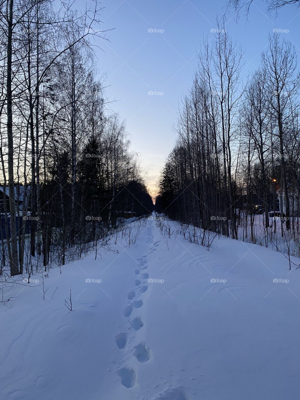 Way out from lockdown