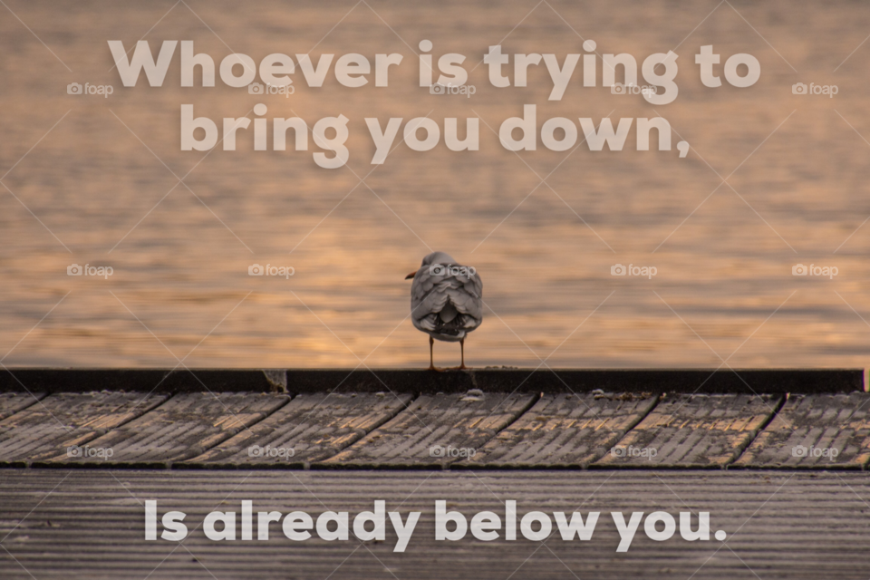 Quote: whoever is trying to bring you down, is already below you