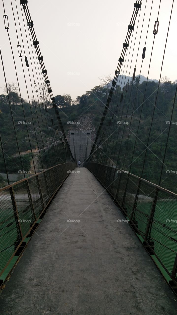 path bridge