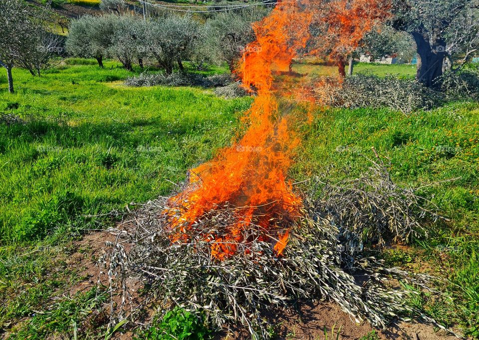 fire lit in the countryside to burn the brushwood