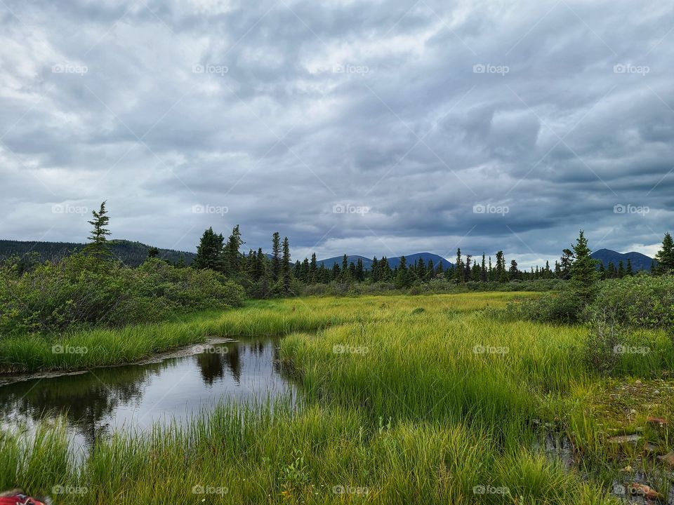Rainy day reflections