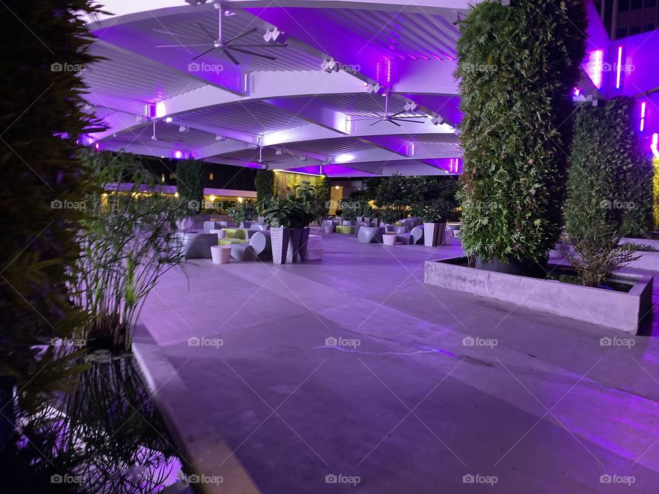 A perfect place for a date.