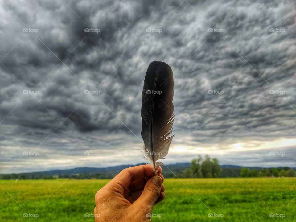 feather in the Sky