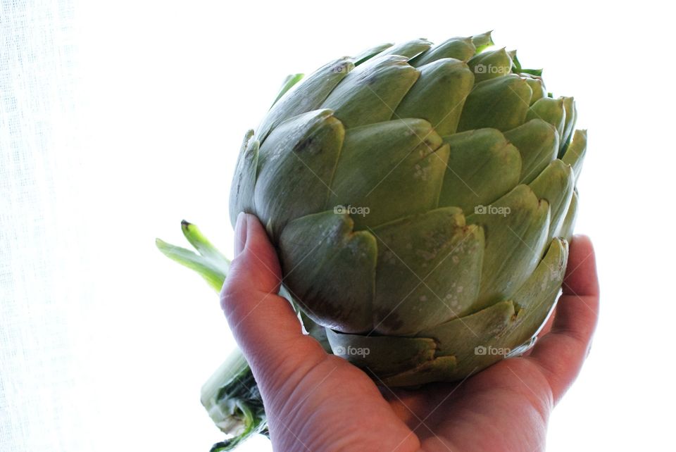 Artichoke