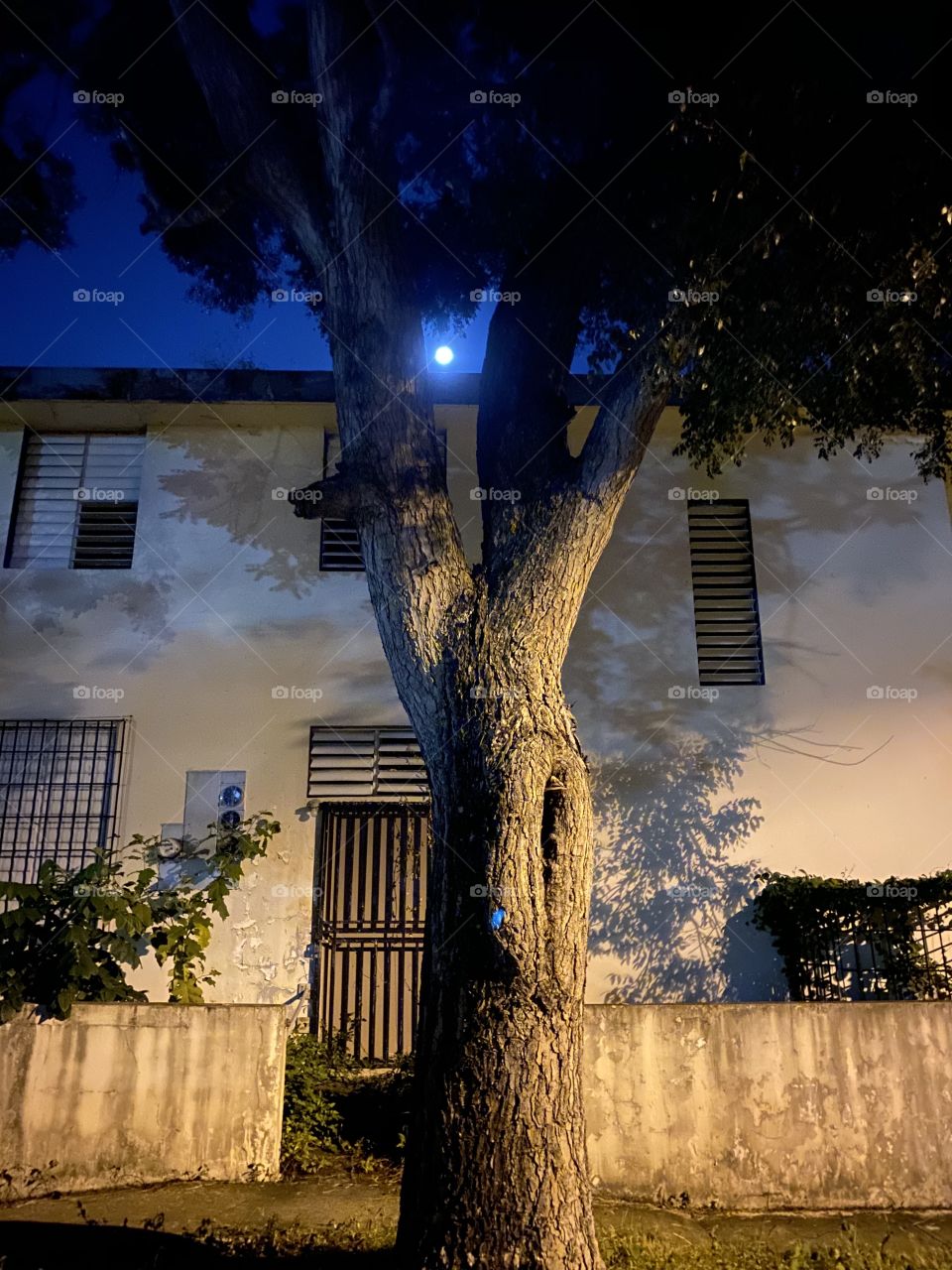 A beautiful and romantic view of the moon! 