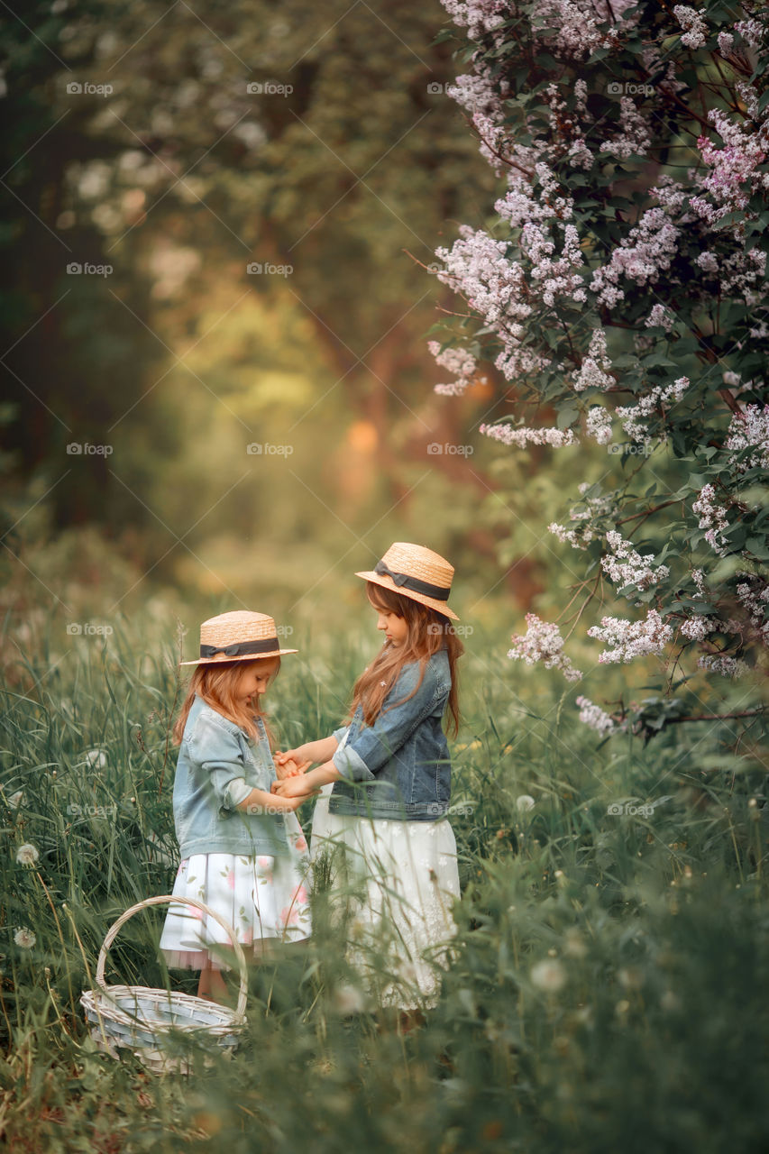 Little sisters in a hat near blossom lilac tree at sunset 