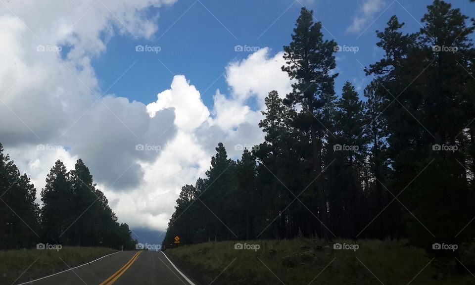 travel destination unknown