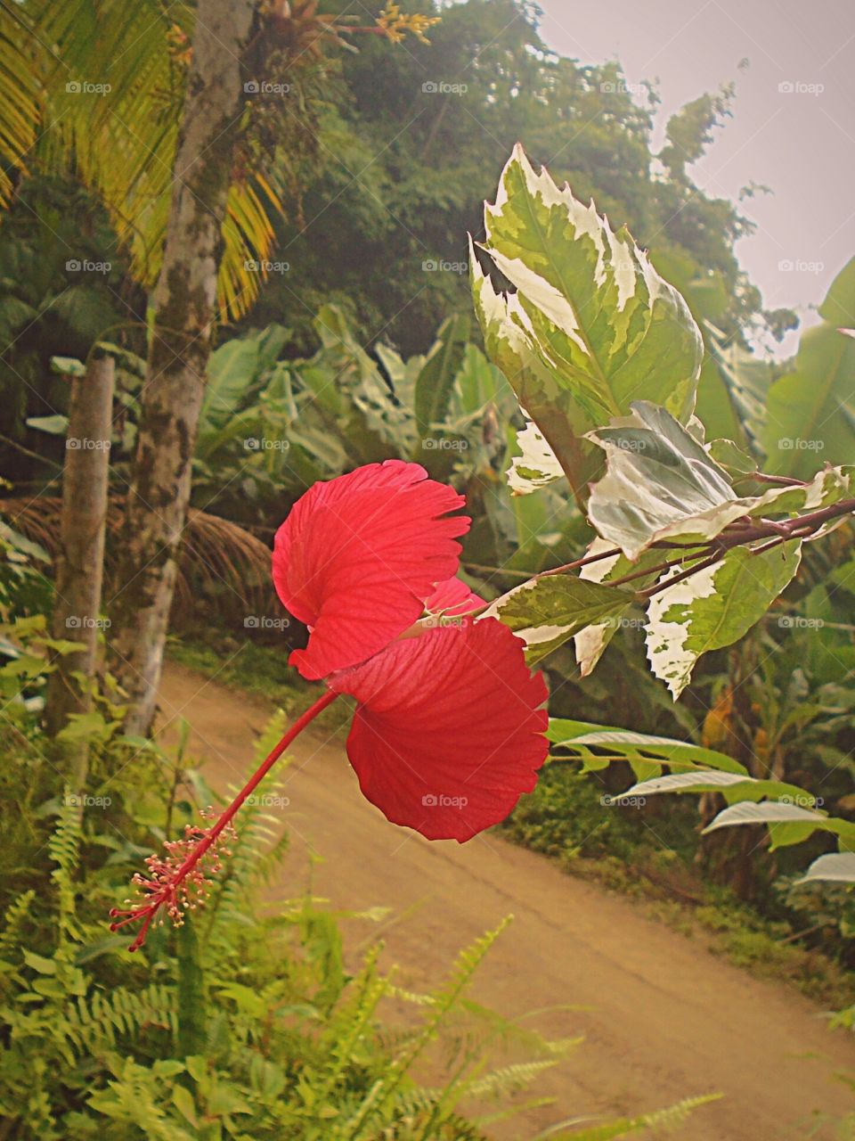 #NaturCapturing

 #Captur
 #FreedomChallenge