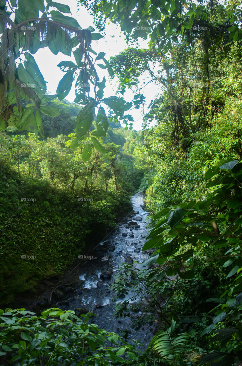 Costa Rica river