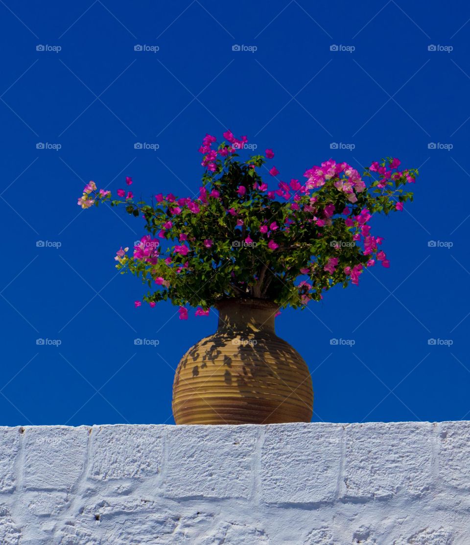 spring its the most beautiful season with the heat ,love ,colorful ,Sunny time. When i can wear sneakers agai n