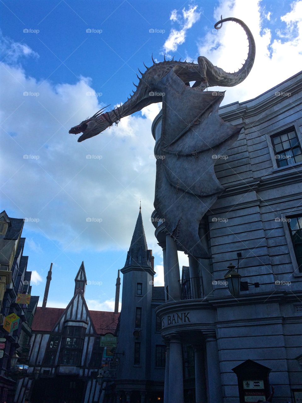 Dragon . Harry Potter World