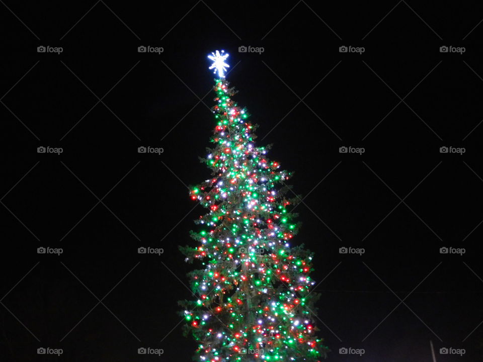 Christmas tree in the night sky