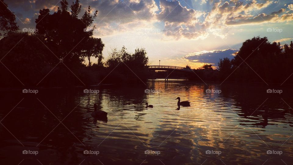 Atardecer en el parque de polvoranca
Sunset in the powder park