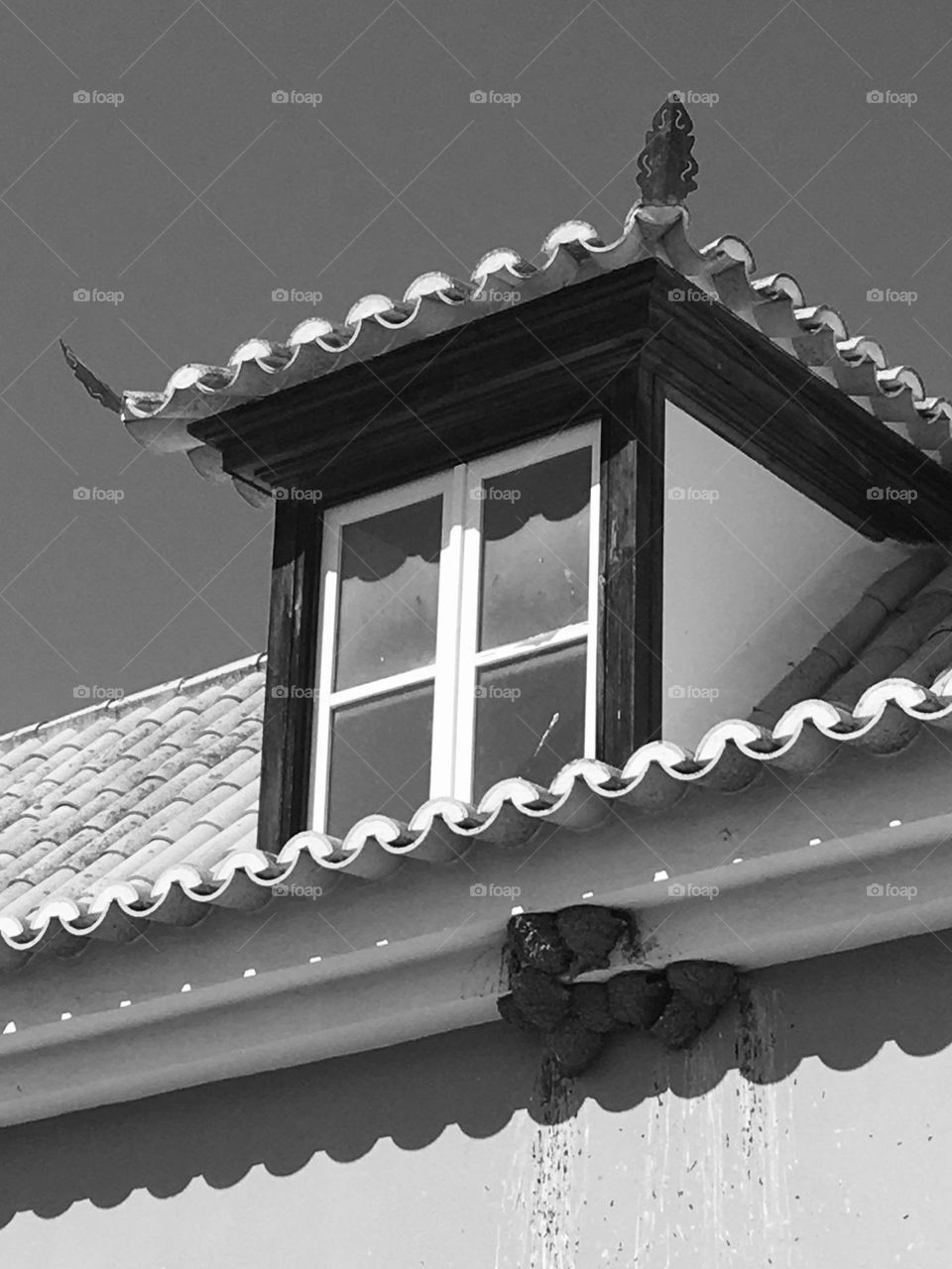 Typical roof window