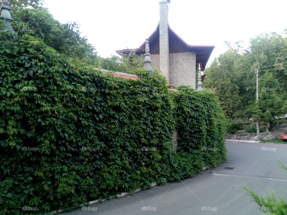 temple "white lotus"

 