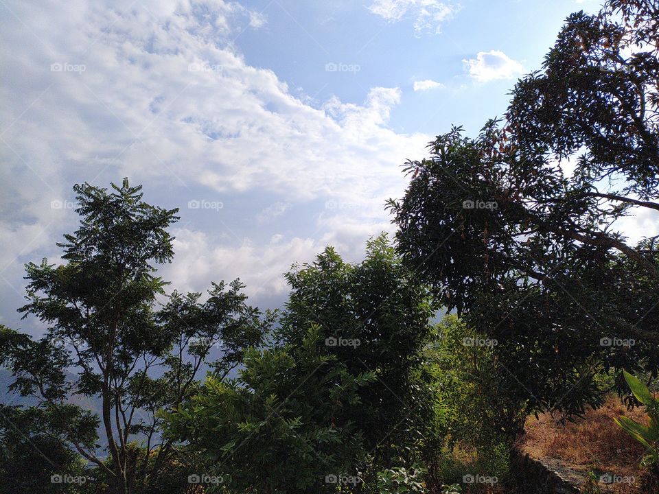 Clouds and the sun creating wonder