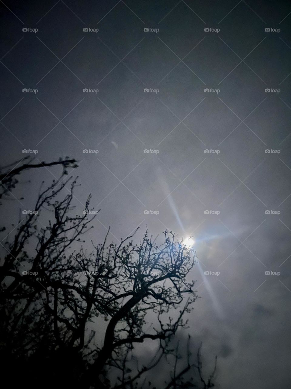 An evening worth wondering 