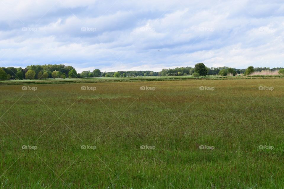 Wiesenlandschaft am Süd - Nord - Kanal