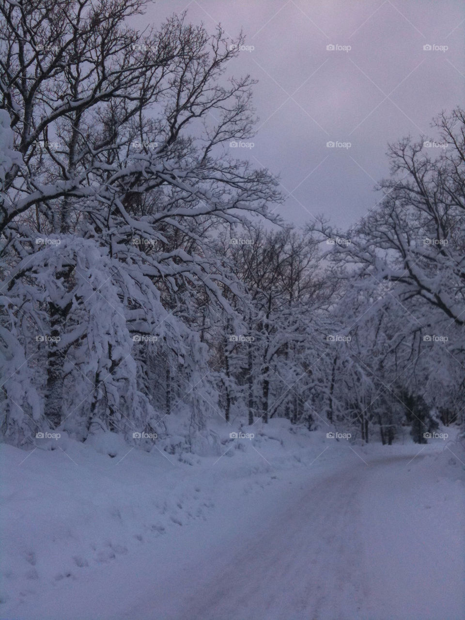 snow winter sweden road by michaelt69