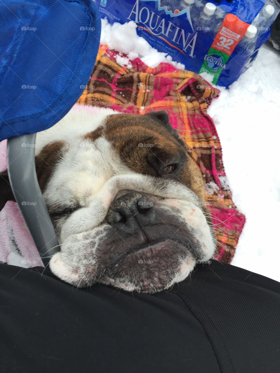 Can we leave its colddddd!!