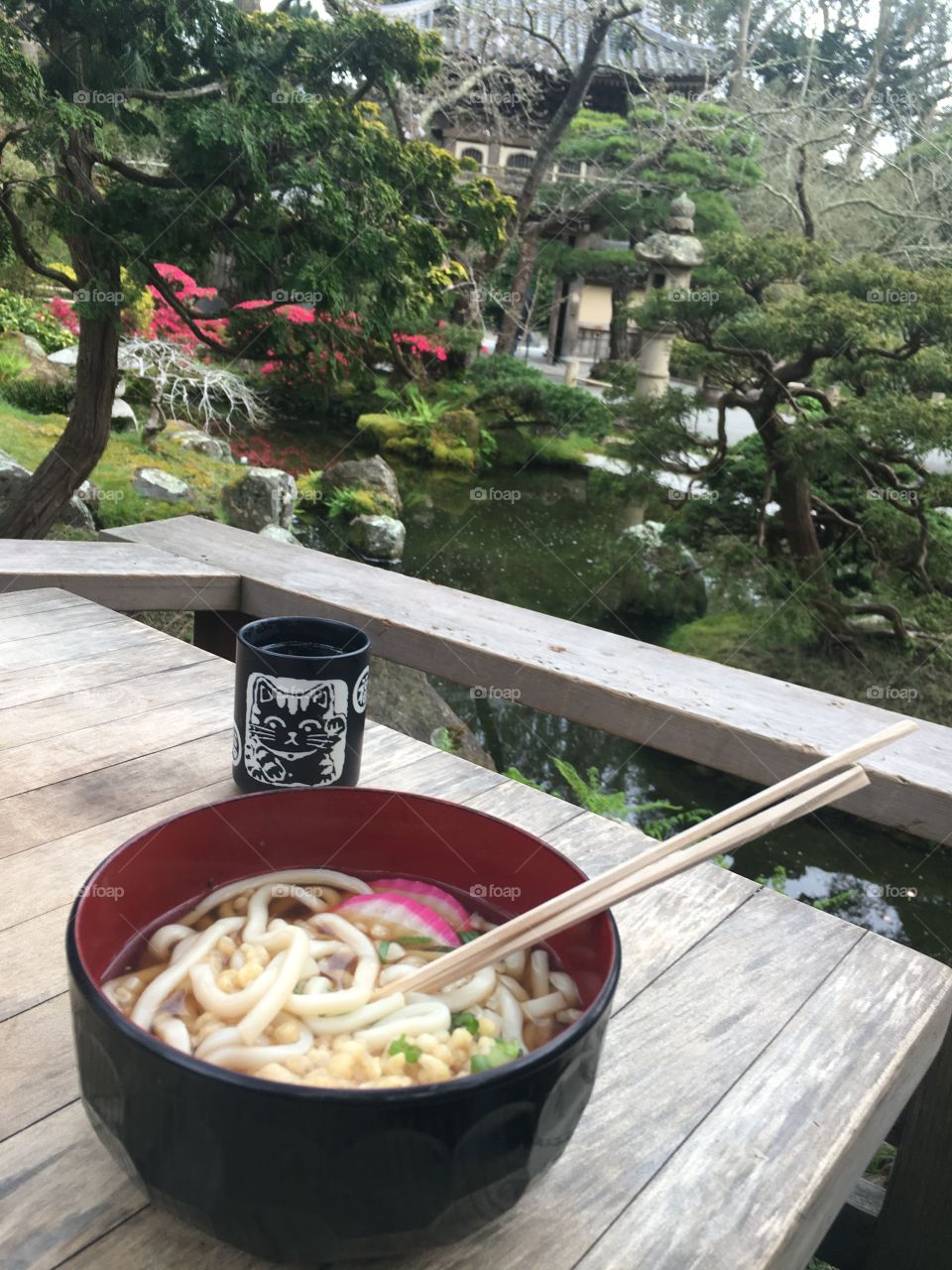 Tea and udon 