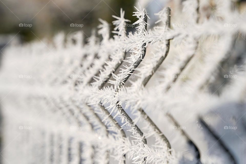 Metal fence structures in frost