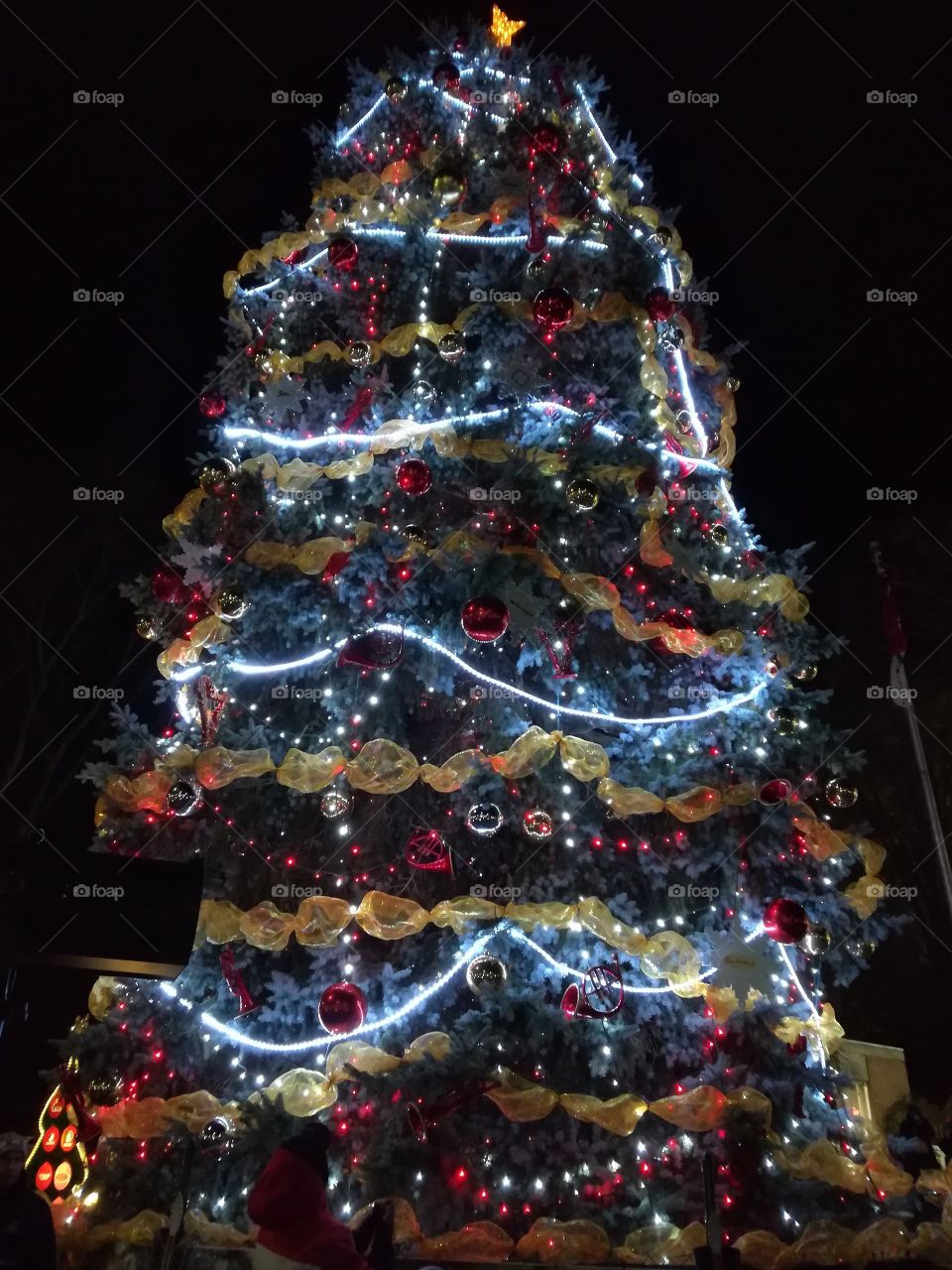 Tall lit up Christmas tree