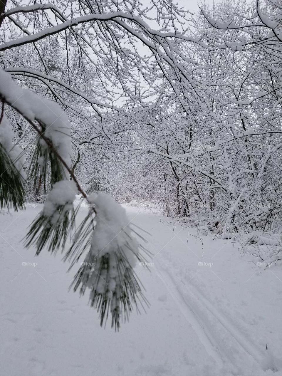 Ski trail