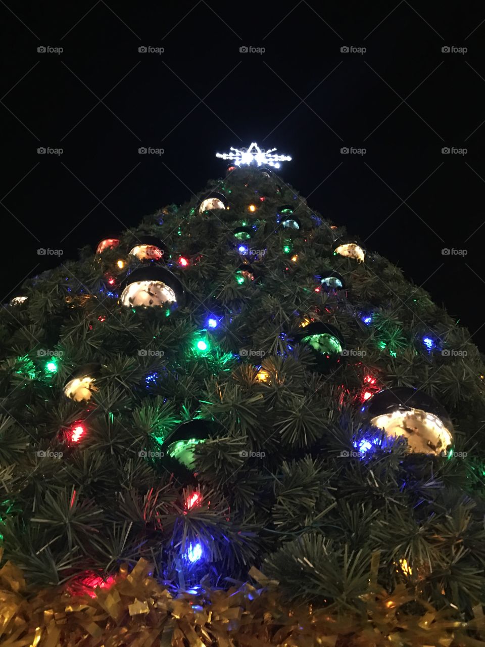 Low angle Christmas tree