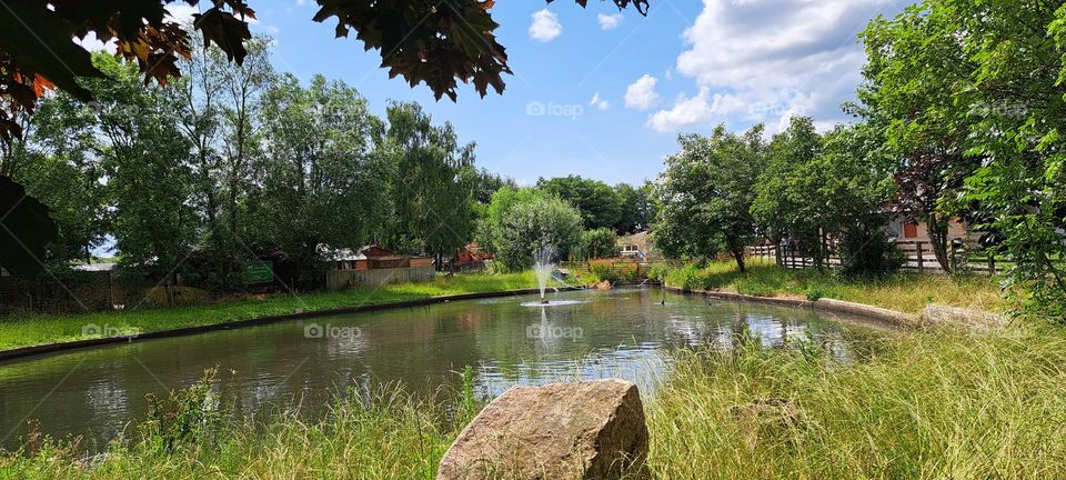 Water feature in a pond