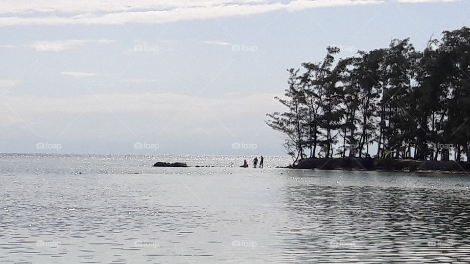 Water, Landscape, Tree, Sea, Ocean