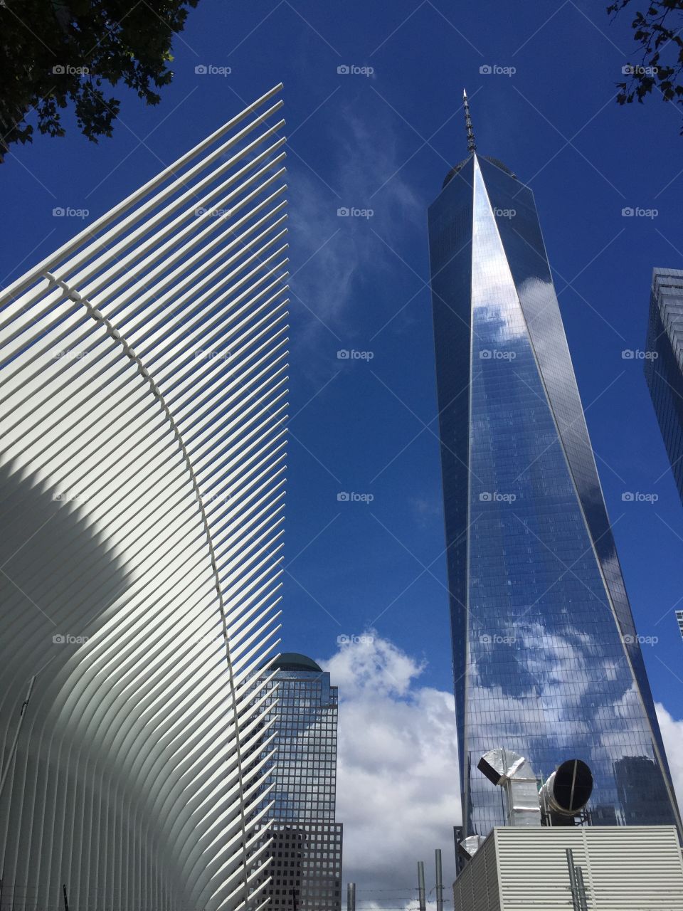 Reflective Skyscraper 