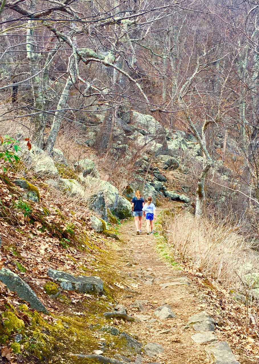 Girls hiking 