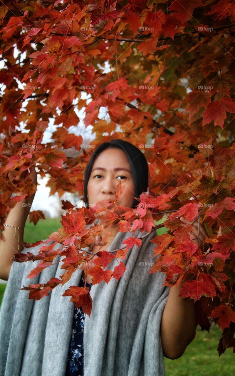 taking picture with red maple tree