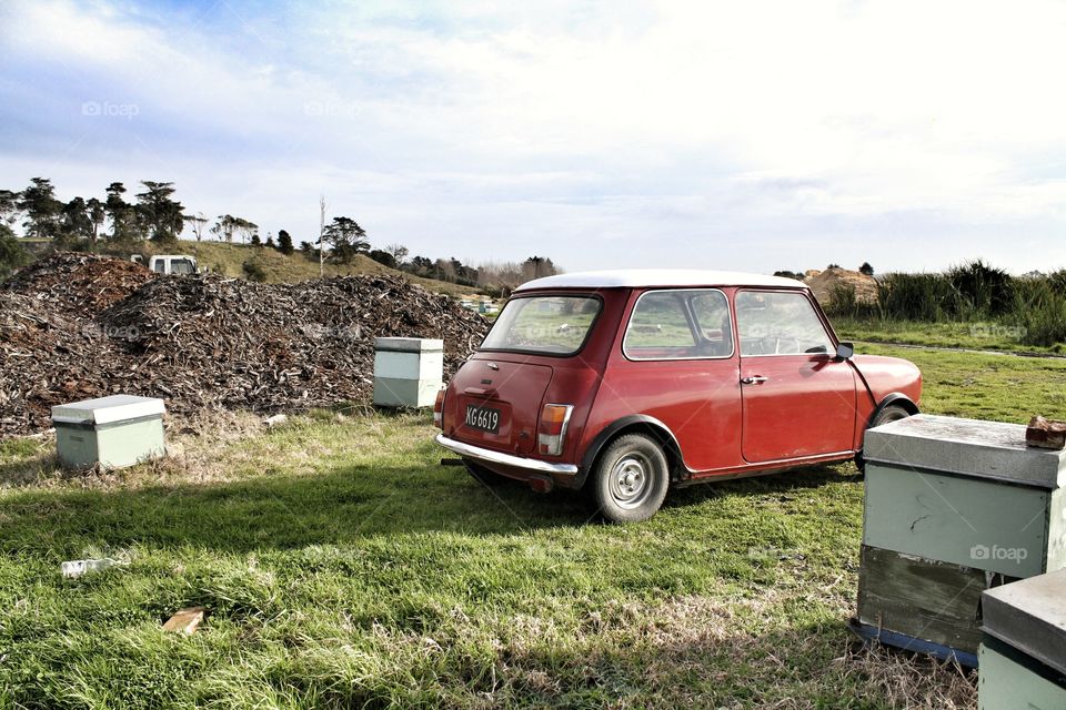 Austin Mini at the Hives