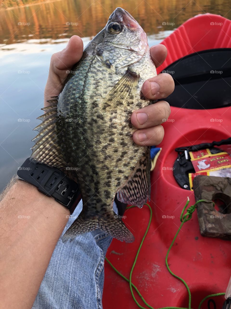 Crappie caught from kayak in winter