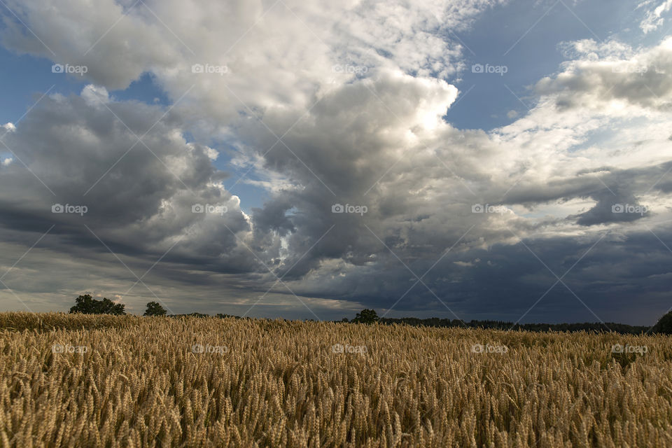 Cloudscape. Clouds. Sky. Landscape.