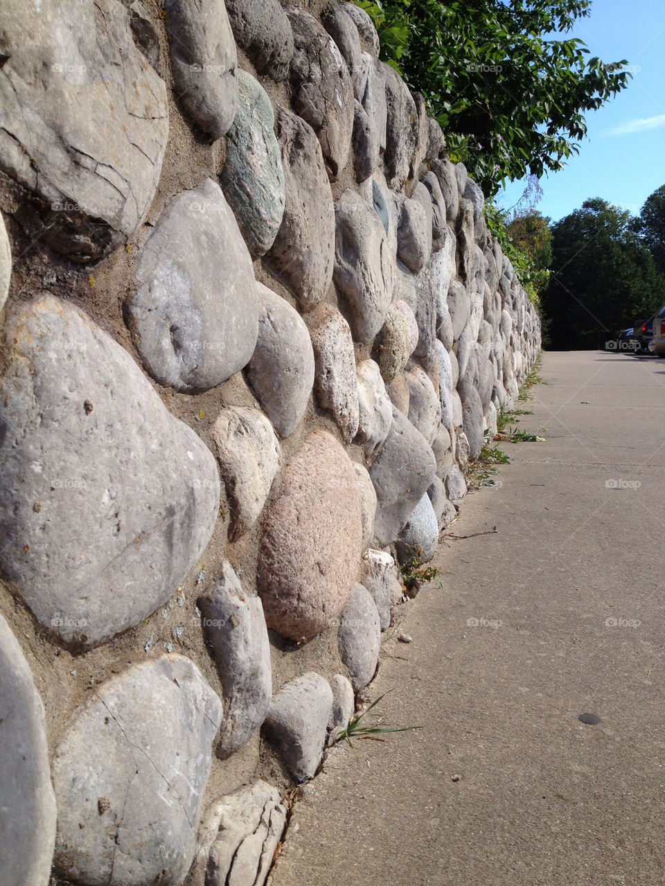 nature wall trees stone by alisha