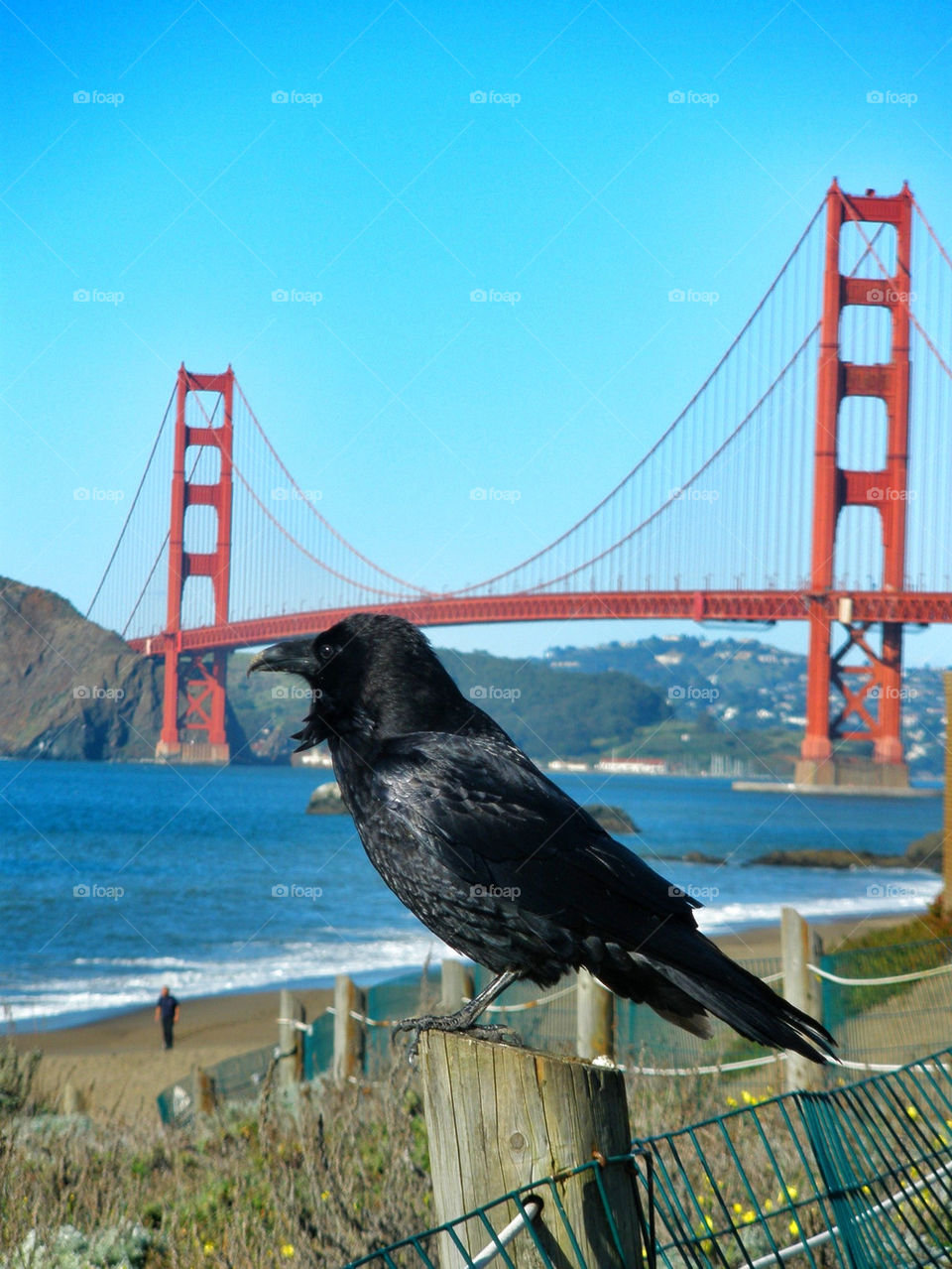 ocean nature black sunny by kersti