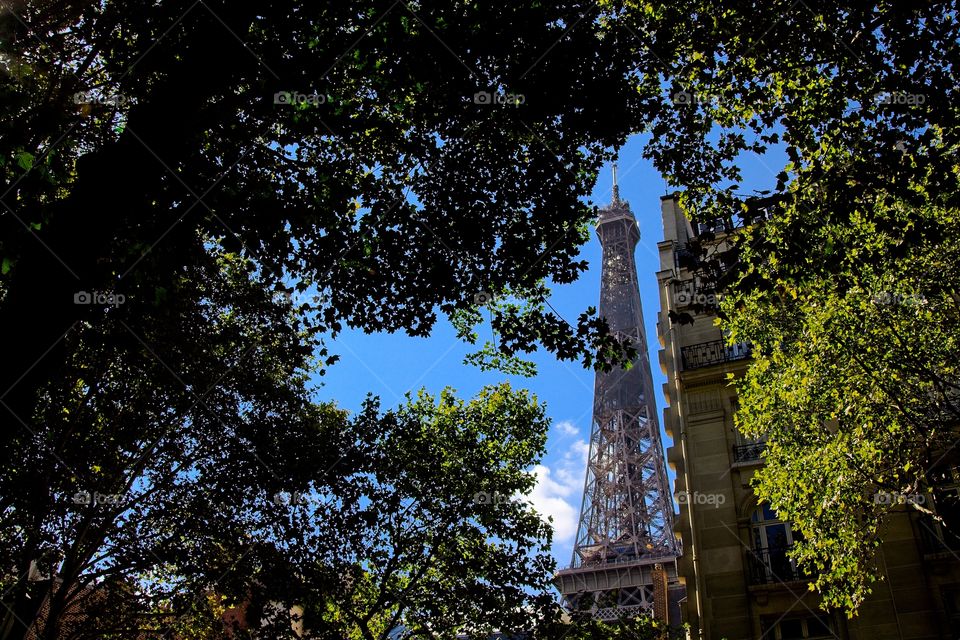 the facade of the house