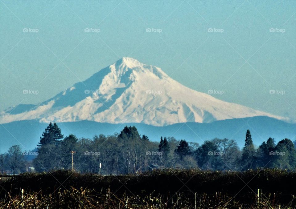 Mt Hood from Keizer