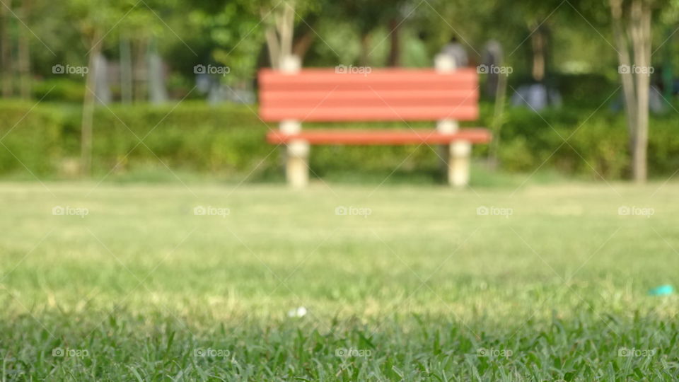 The bench under sunshine. The blur photography, Red color bench in green grass, some area is focused. Grass is focused and bench is not focused.
#autoedits #av #editor. Delhi is the place where this photo is caputed, near the lotus temple. When the timing is perfect and the sun is shining at that moment this photo is captured.
This photograph is captured by the av editor. #Perfectclick.