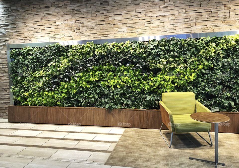 A colorful wall of plants to sit by while you take a break when you are at work. 