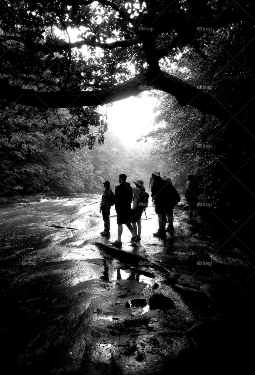 Hikers are silhouetted against a foggy morning backdrop while they pause to view the stream.