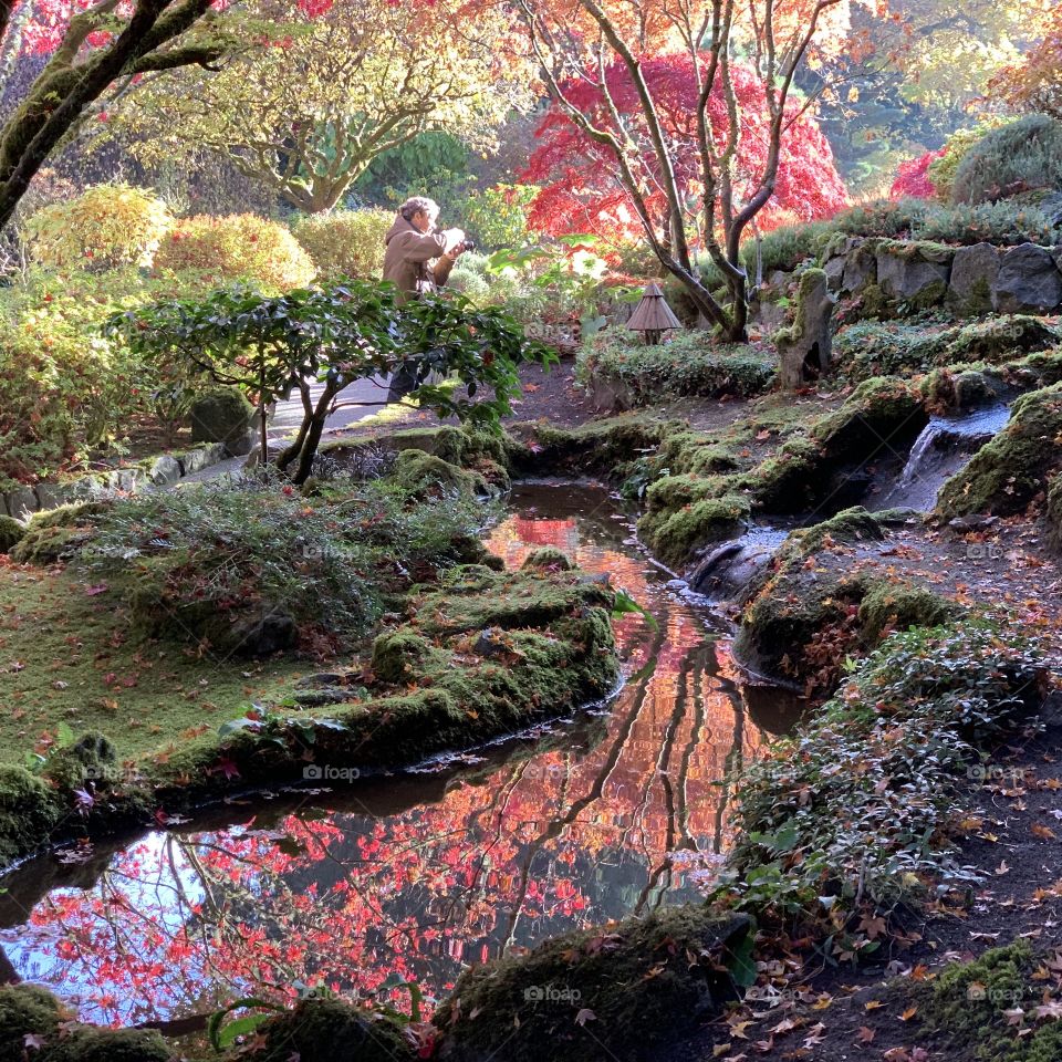 Autumn colors mirroring into the stream and man capturing the beautiful scenery 