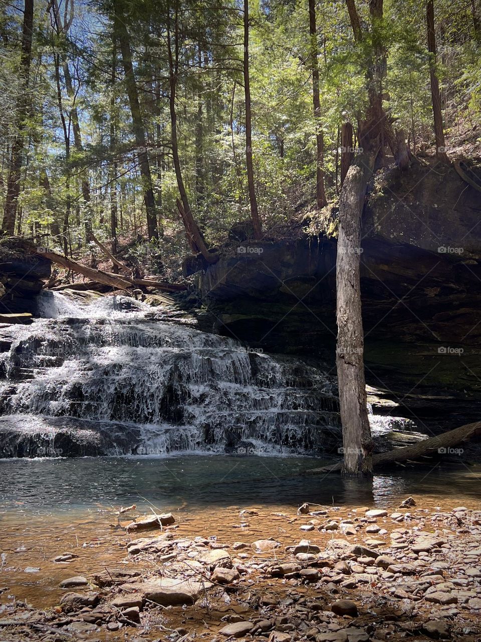 Scenic small waterfall in the Sipsey Wilderness. The rock formations and water features of this ancient area make the Bankhead National Forest a beautiful place to hike.