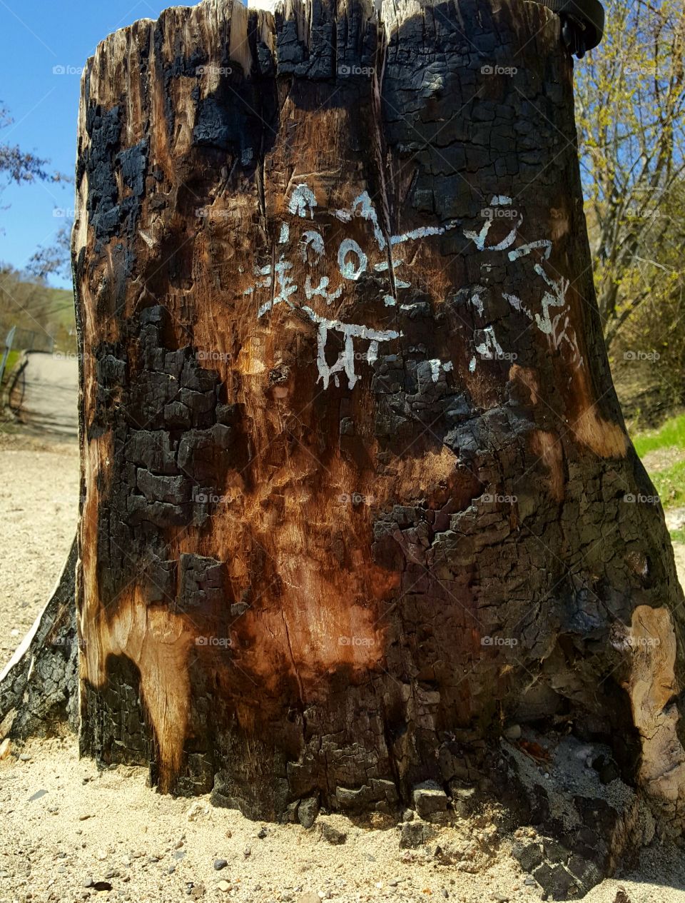 Fairy Tales Do Exist,
Interpret Life As You WiLL 🦋