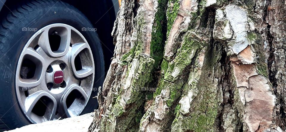 natural and unnatural