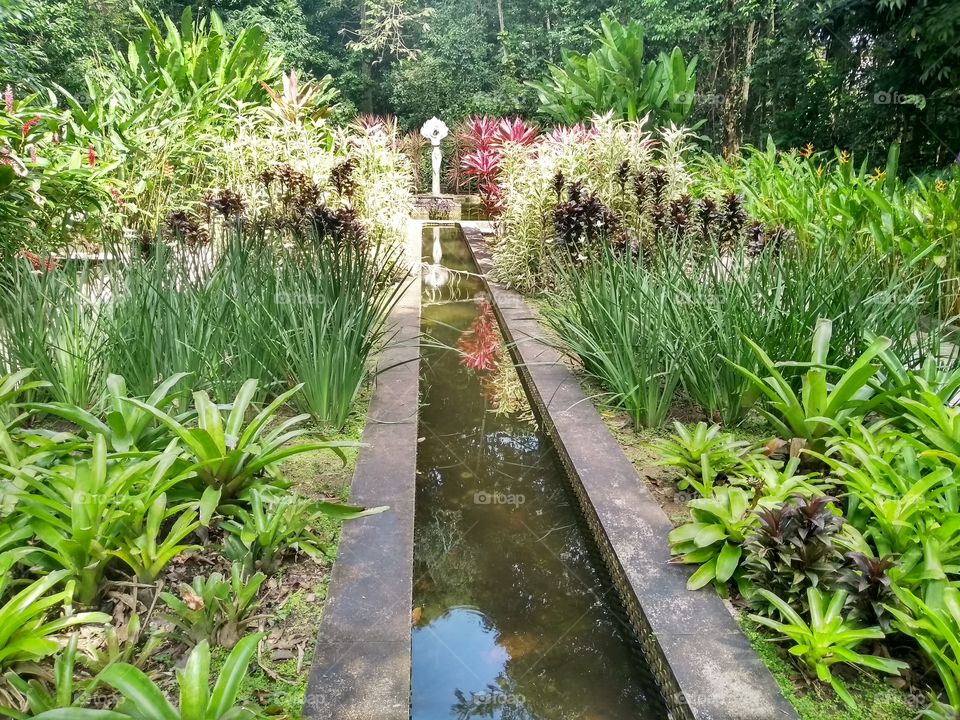 Jardim botânico